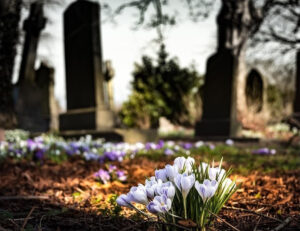 Friedhof
