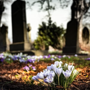 Friedhof